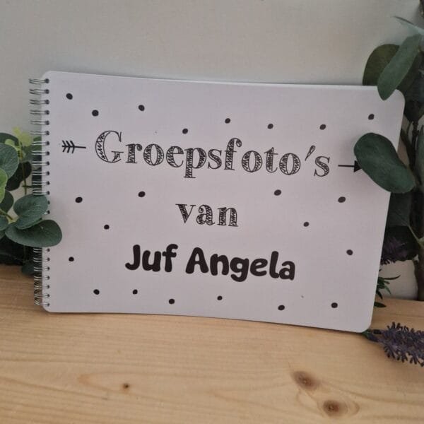 Groepsfoto's van...... – Speciaal voor de juffen en meesters - Afbeelding 6