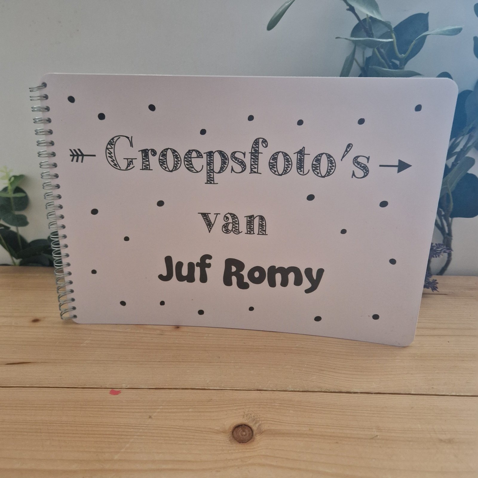 Groepsfoto's van...... – Speciaal voor de juffen en meesters - Afbeelding 8