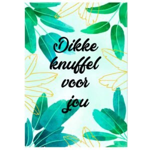 Kaart Dikke knuffel voor jou (blaadjes)