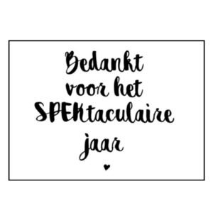 MINI Kaartje Bedankt voor het spektaculaire jaar
