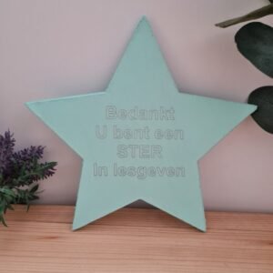 MDF figuur ster mintgroen U bent een ster in lesgeven