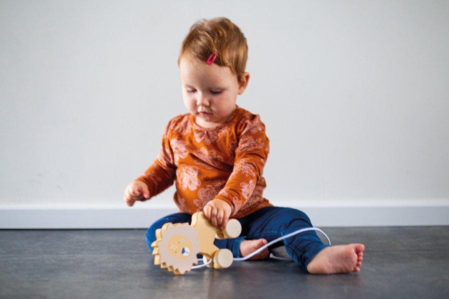 Tryco Houten Leeuw Trekfiguur - Afbeelding 5