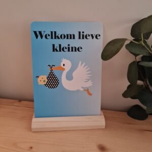 Kaart Welkom Lieve Kleine, Ooievaar (a5 kaart)