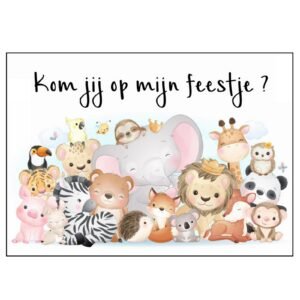 Kaart Kom jij op mijn feestje ?