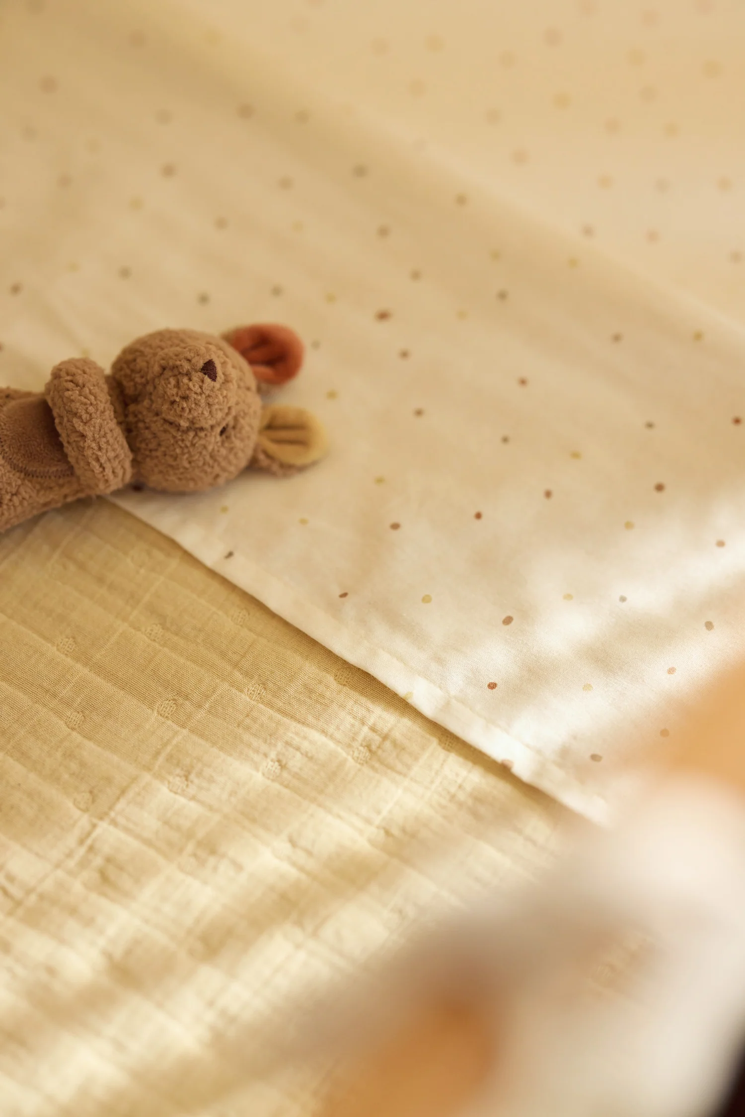 Jollein Rammelaar - Kangaroots - Afbeelding 4