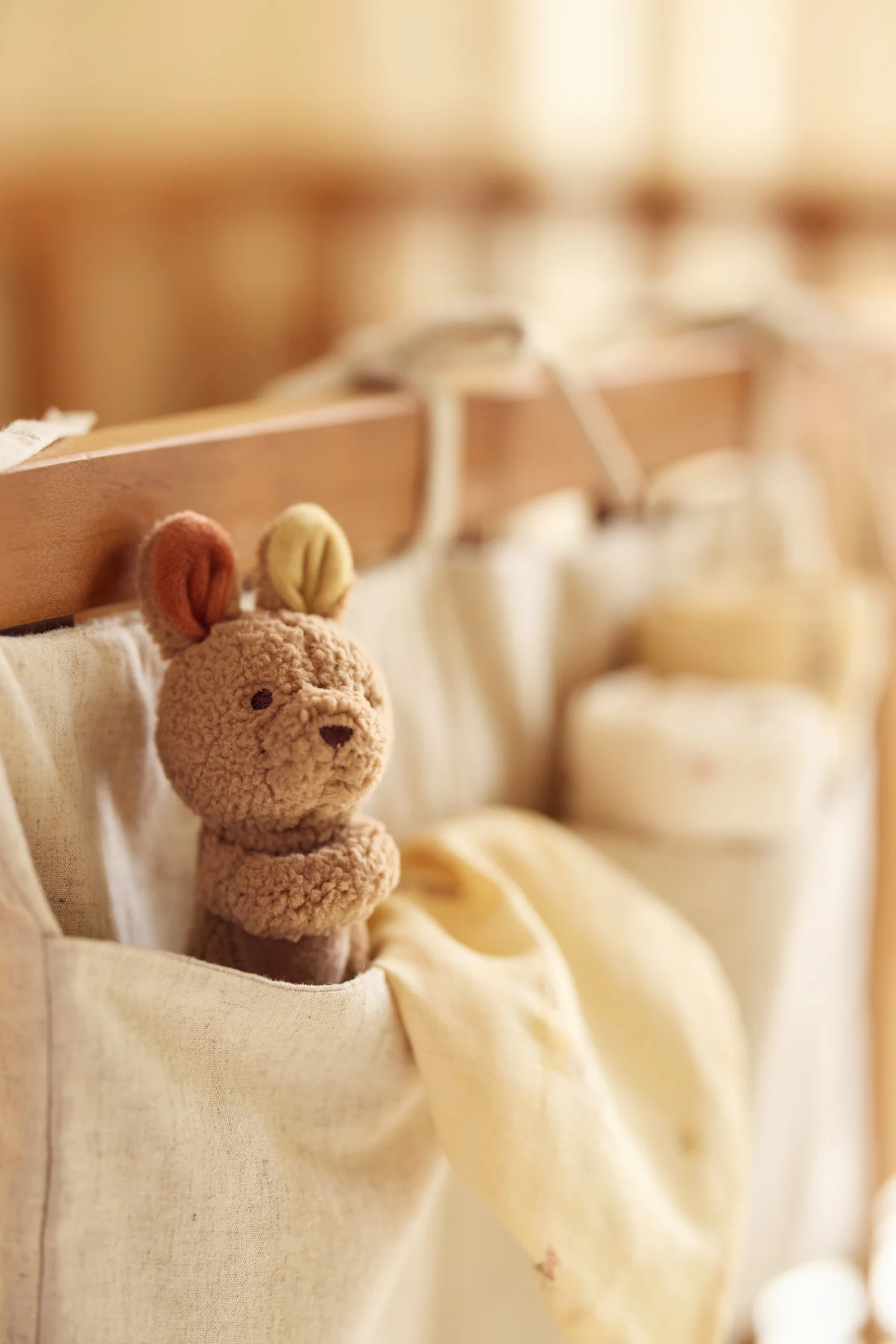 Jollein Rammelaar - Kangaroots - Afbeelding 2