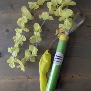 Avondvierdaagse slinger met ballon en waterspeeltje