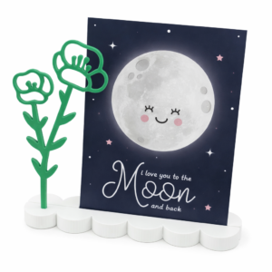 Cadeauset I love you to the Moon and back