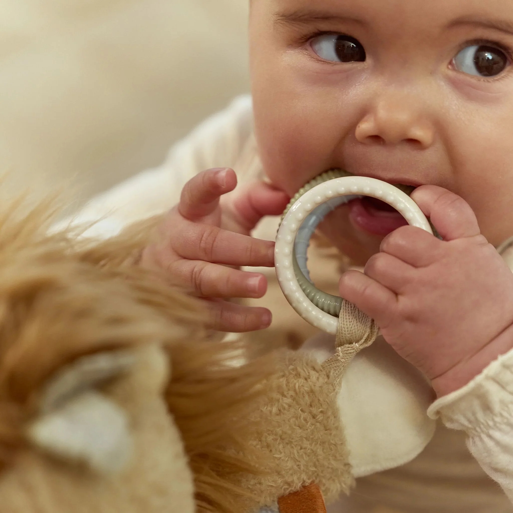 Little Dutch Activiteitenknuffel Leeuw - Geel - Afbeelding 9